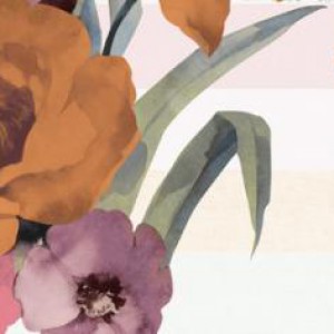 Gạch ốp tường Trường Thịnh INDIAN STONE 25751-HL-B2